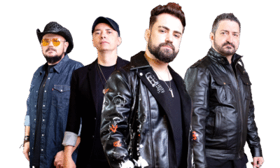 Rosa de Saron - Crédito da Foto: Divulgação