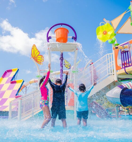 Créditos da Foto: Divulgação