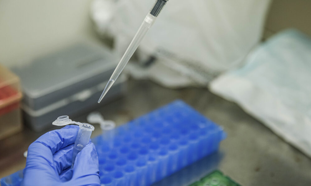 Créditos da Foto: aregobarros@gmail.com