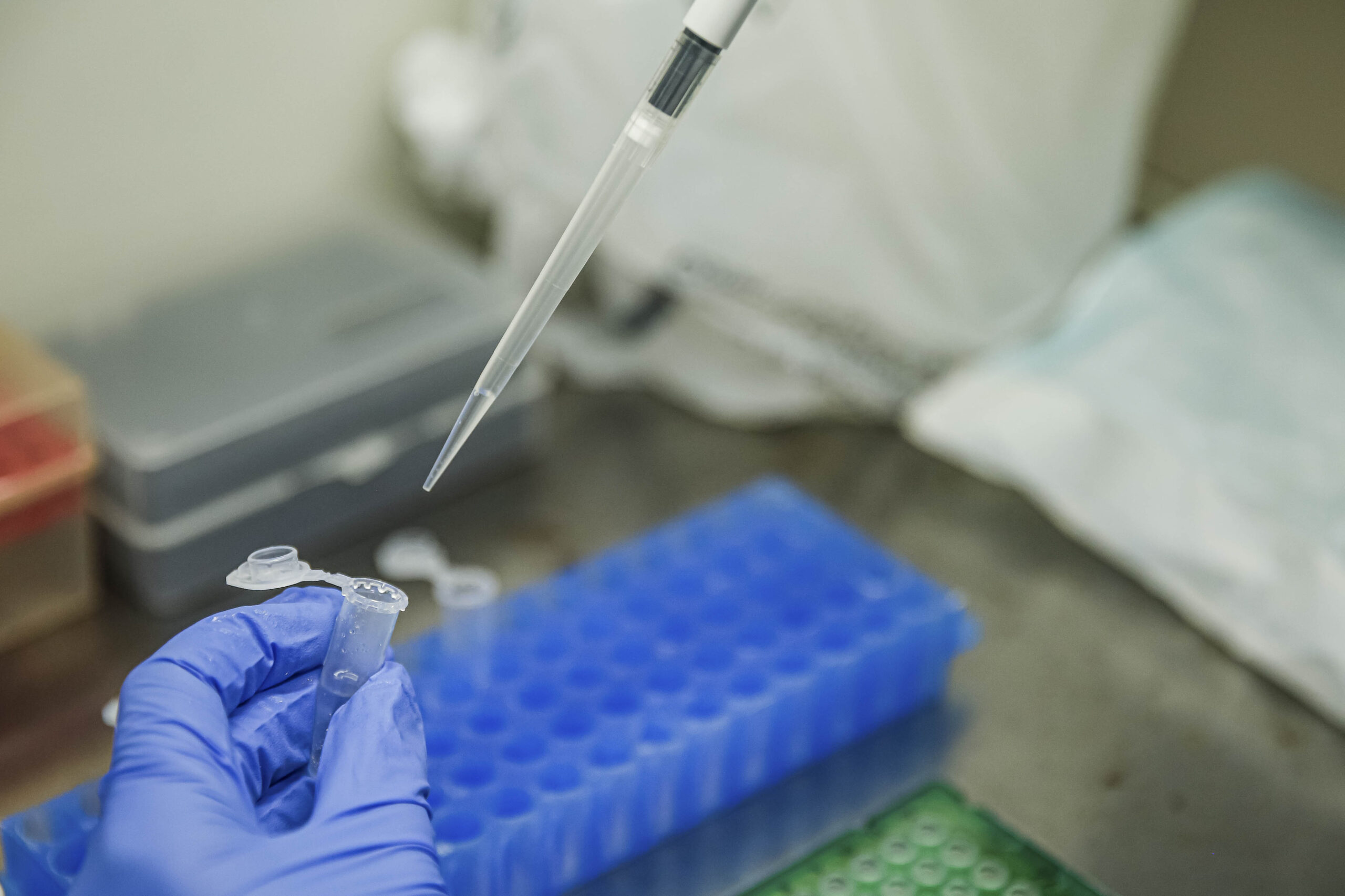 Créditos da Foto: aregobarros@gmail.com